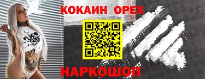 крисы Севастополь