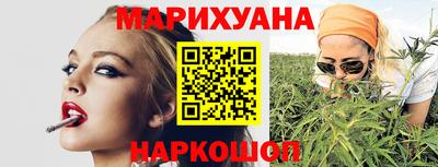 крисы Севастополь