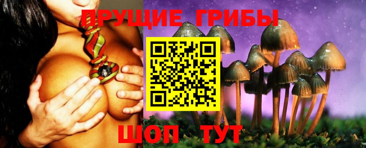 Псилоцибиновые грибы Cubensis Новороссийск